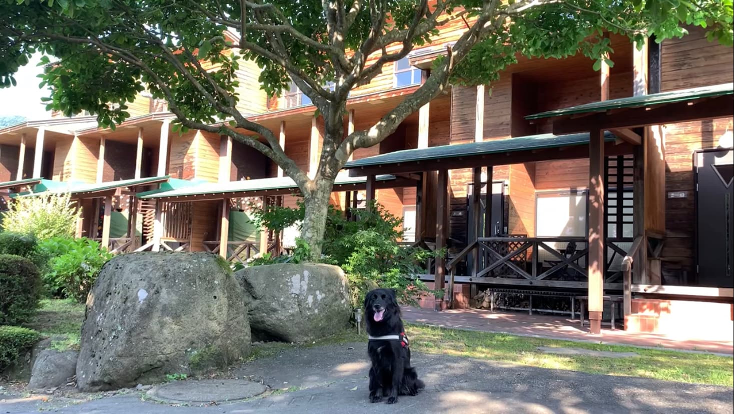 愛犬と泊まれる宿 ガルニヴィレッジ