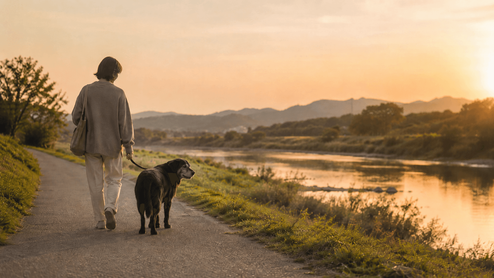 シニア犬(老犬)との旅行|老犬に優しい宿の選び方・移動・健康管理